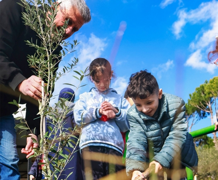 Environmental Activity 